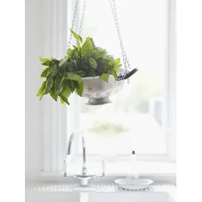 Idee per abbellire il giardino