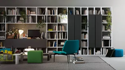 Living Lema con libreria Selecta