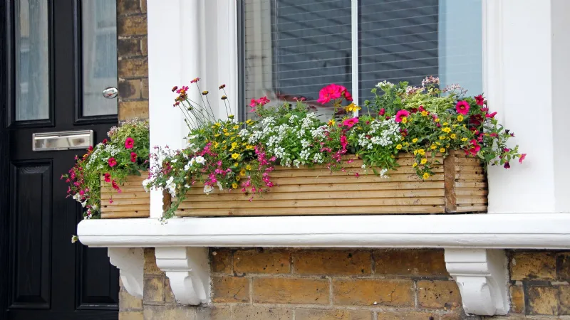 Fioriera in legno sul davanzale della finestra