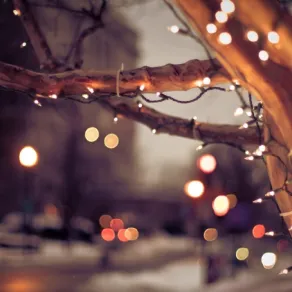 luci natalizie sui tronchi