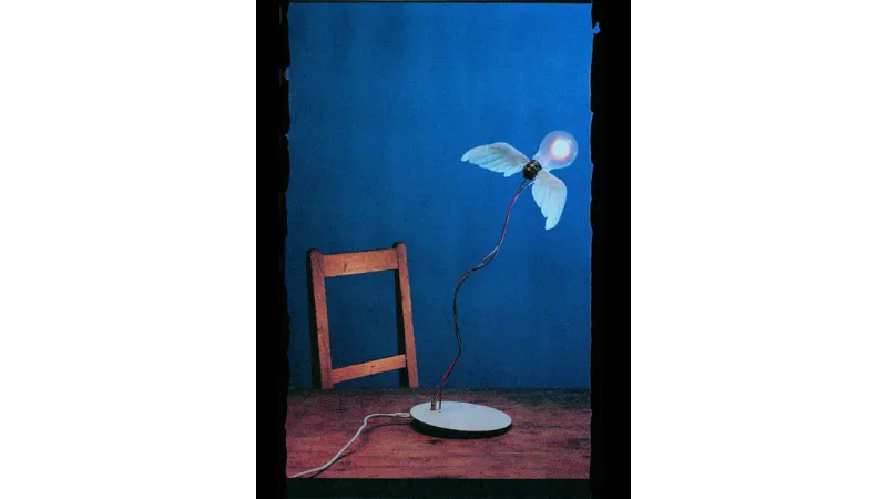 lampada concorso Pulchra