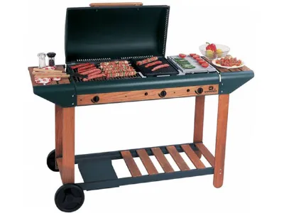 Conosciamo insieme i bbq a gas