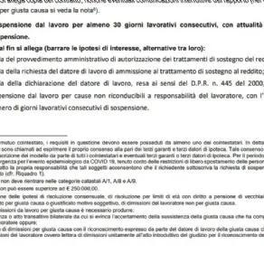 Un dettaglio del modulo