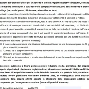 Un altro dettaglio del modulo da compilare