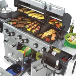 barbecue a gas Broil King