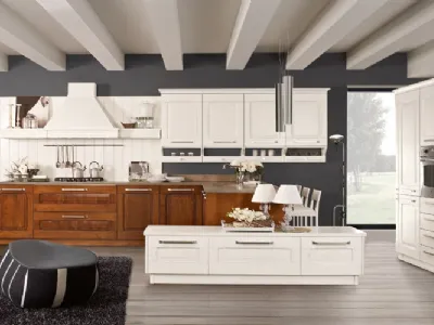 Cucine classico moderno