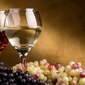 Temperatura vini