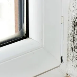 Combattere la muffa in casa