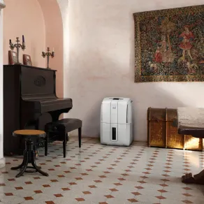 deumidificatore de longhi
