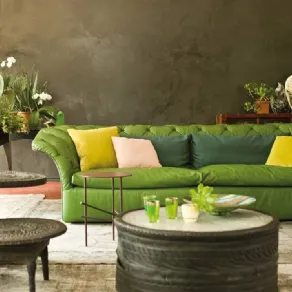Bohemian Moroso