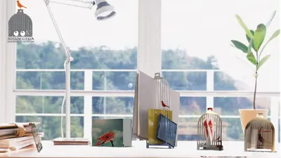 interno casa studio