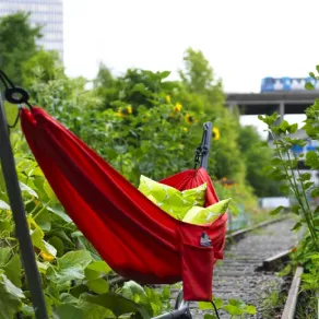 Dondolo da giardino Ikea