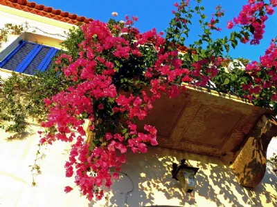 Un bel balcone fiorito