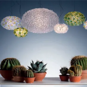 flower power arredo