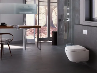 Geberit Omega