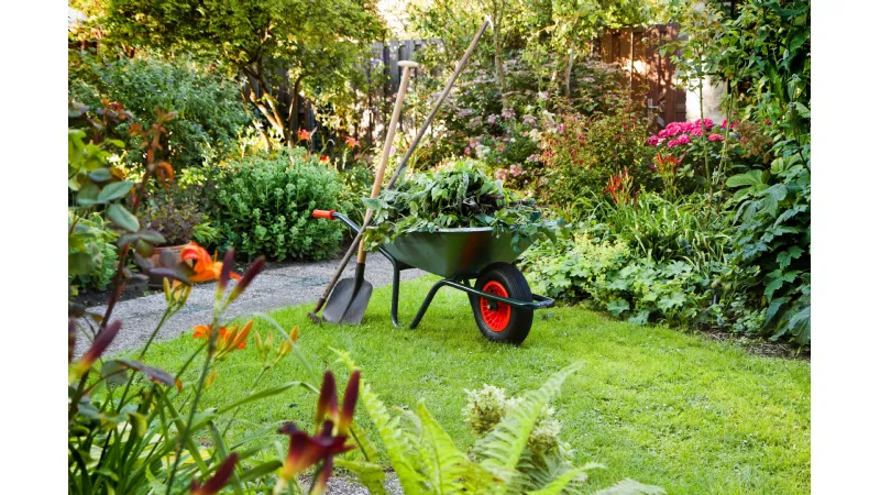 giardino fiorito