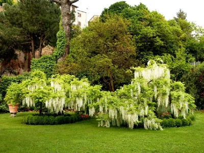 esempio giardino
