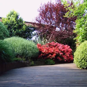piante giardino
