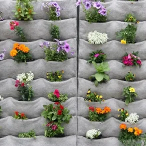 Un'idea originale per il giardino verticale