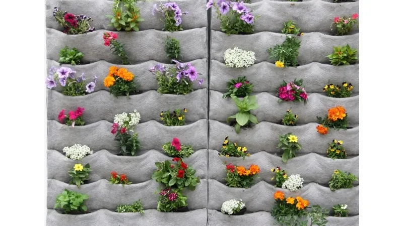 Un'idea originale per il giardino verticale