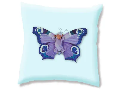 butterfly happidea particolare