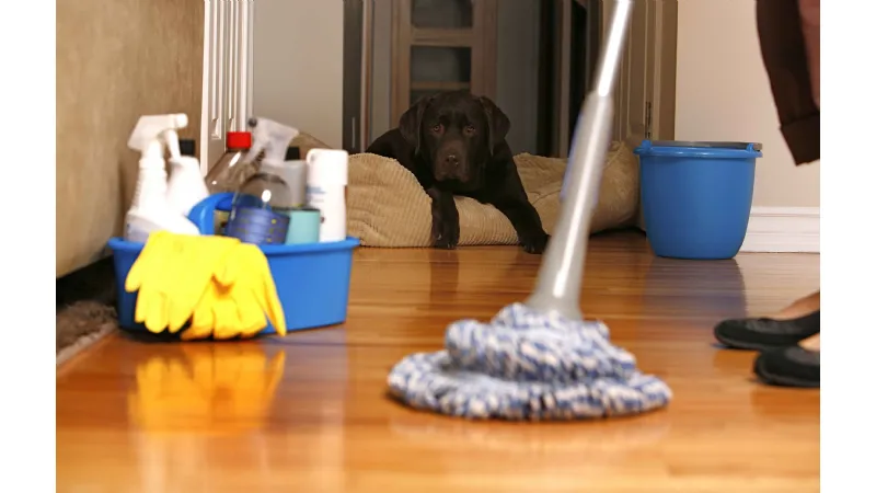 house keeping