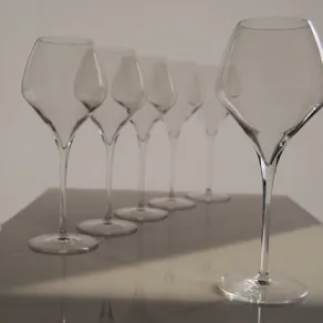 Bicchieri Bormioli per vino