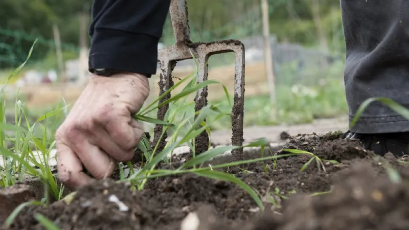 diserbante ecologico