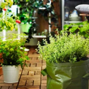 Ikea giardino