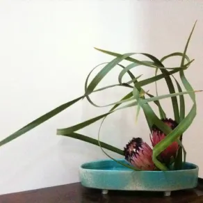 ikebana
