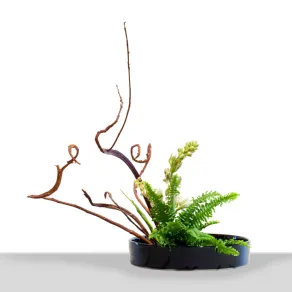 ikebana