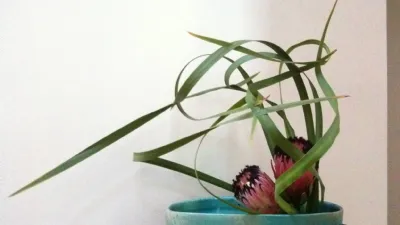 ikebana