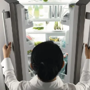 frigo doppia porta Electrolux