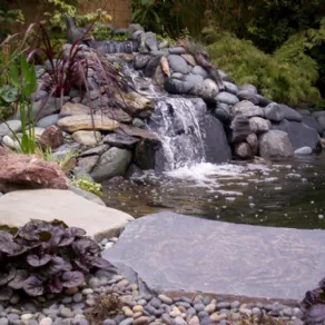 Laghetto da giardino con fontane