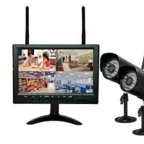 Impianto videosorveglianza wireless