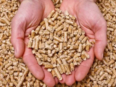 Pellet legno