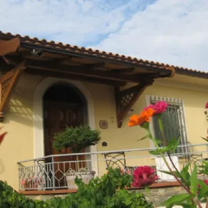 Pensilina in legno – Pino Costruzioni Group