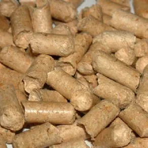 Pellet di legno