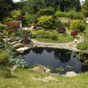 Un laghetto da giardino 