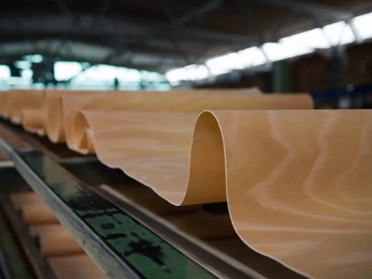 dettaglio di foglio in legno ricurvo su tapis roulant industriale