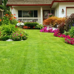 manutenzione giardino