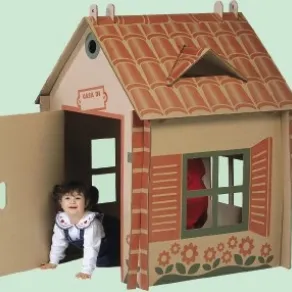 Le qualità del cartone