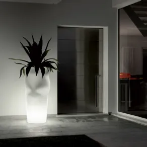 vaso illuminato