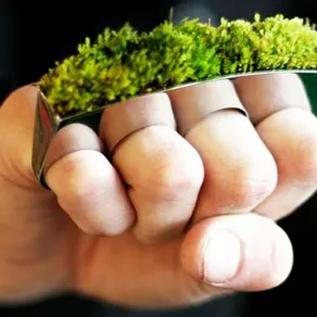 Growing Jewelry Hafsteinn Juliusson