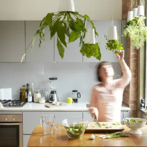 orto in cucina