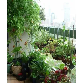 Orto verticale sul balcone