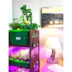 Orto verticale da interno
