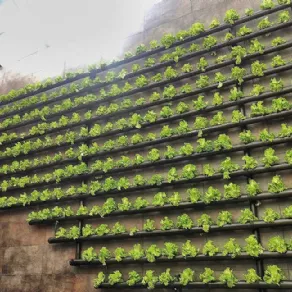 giardino verticale