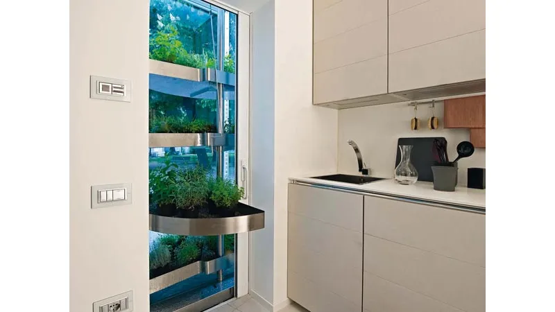Piante in cucina