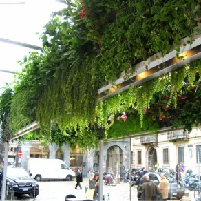 giardini verticali